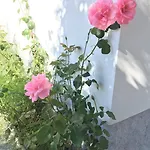 Casinha Da בית נופש *
