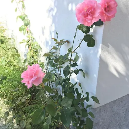 Casinha Da Holiday home *